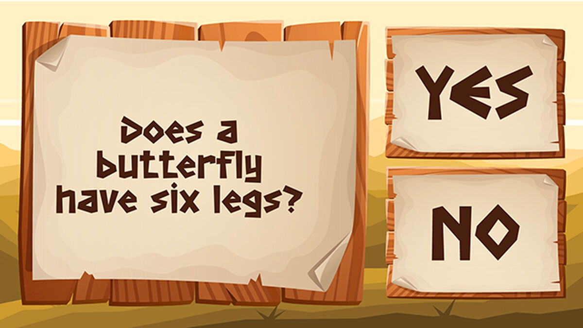 Survival Trivia image number null